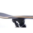 Tempish longboard Pantar