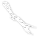 Tempish Hockey laces 160 - 260 cm | Sport Station.