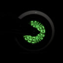 Powerslide inline wheel Graphix 110 | Sport Station.